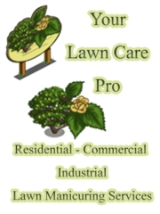 Your Lawn Care Pro Lawn Maintenance