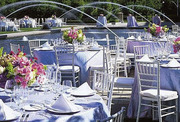 Chiavari Chairs Cheap Prices