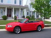 2001 FORD mustang Ford Mustang Cobra