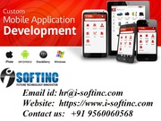 Custom application development in usa