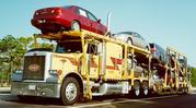 Cargo carriers auto transport specialist at BROWNWOOD,  TX