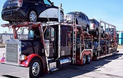 Free Auto Transportation Quote Form at NEWARK,  CA