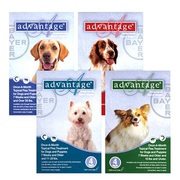 Shop Advantage for Dogs with Free Shipping