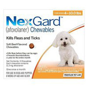 Buy Nexgard for Dogs Online
