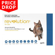 Revolution for cats - Revolution Flea Treatment for cats 
