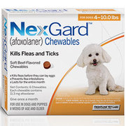 Nexgard Chewables - Nexgard Beef Flavored Treat for Dogs