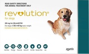 Revolution for Dogs - Buy Revolution Multi parasitic preventative 