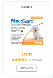 NexGard Chewables flea and tick protection for small,  Medium,   Large &