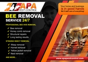 Experts Bee Removal Services LA  
