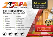 Professional pest control services LA