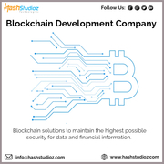 Best Blockchain Development Company in USA for the Next Big Revolution