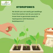 Online Hydroponic Gardening Methods Tips & Tricks